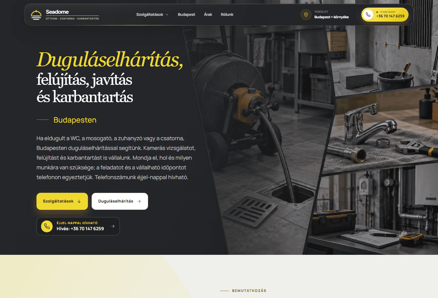 Seadome homepage with drain clearing, renovation, and maintenance services