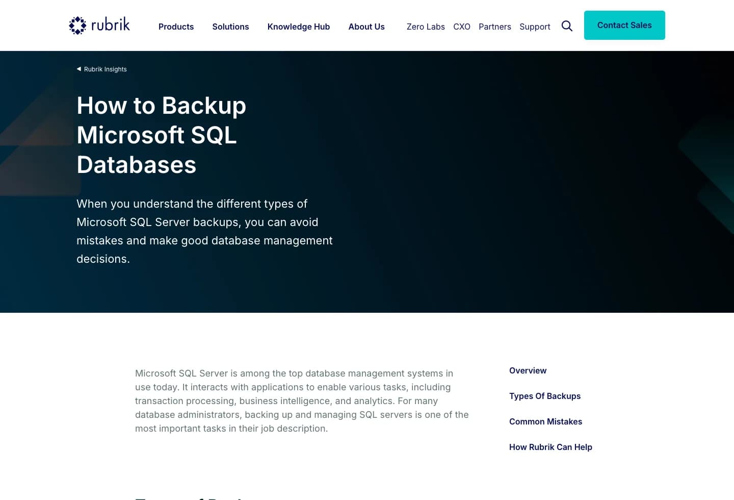 Rubrik article about backing up Microsoft SQL databases